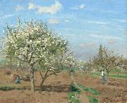Camille Pissarro Orchard in  Bloom,Louveciennes (nn02) oil painting on canvas